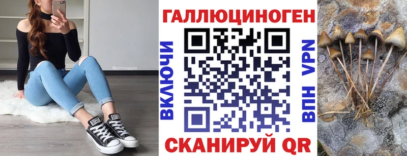 omg вход  где купить   Тобольск  Галлюциногенные грибы прущие грибы 