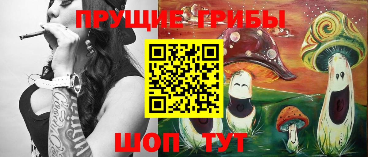 Тобольск  Псилоцибиновые грибы Cubensis  Вход с VPN 