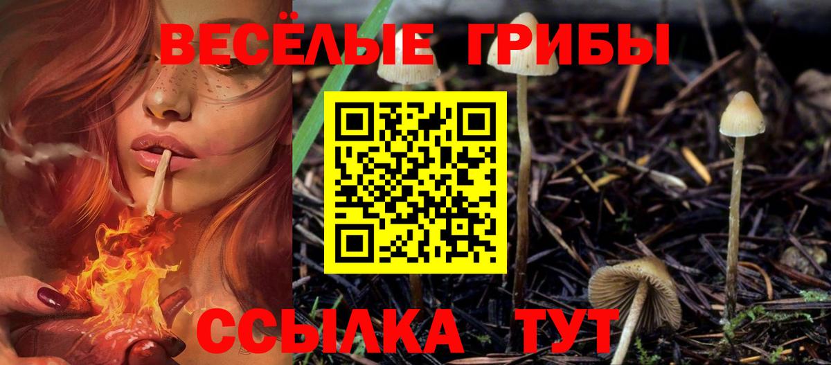 Галлюциногенные грибы ЛСД Тобольск